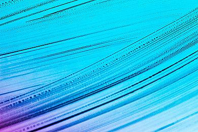 《艾尔登法环》PC销量或破千万 静待“黄金树之影”